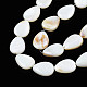 Shell normal de perles blanches de brins(X-PBB263Y-1)-5