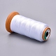 Polyester Threads(X-NWIR-G018-F-02)-2