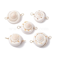 Natural Shiva Eye Shell Links Connector Charms with Real 18K Gold Plated Copper Wire Double Loops, Shell Shape, 32x21x13mm, Hole: 2mm(PALLOY-JF02629)