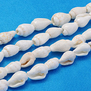 Natural Trumpet Shell Beads Strands, White, 6~13x4~8.5mm, Hole: 0.5~1mm, about 115~160pcs/strand, 37~50 inch(X-S02KI011)
