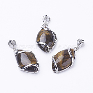 Natural Tiger Eye Pendants, with Brass Findings, Horse Eye, Platinum, 38x17x7mm, Hole: 3x4mm(G-E423-06P)
