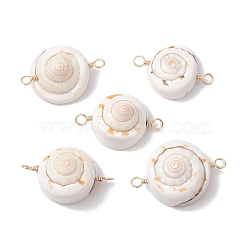 Natural Shiva Eye Shell Links Connector Charms with Real 18K Gold Plated Copper Wire Double Loops, Shell Shape, 32x21x13mm, Hole: 2mm(PALLOY-JF02629)