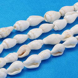 Natural Trumpet Shell Beads Strands, White, 6~11x4~7mm, Hole: 0.5~1mm, about 160pcs/strand, 23 inch(X-S02KI011)