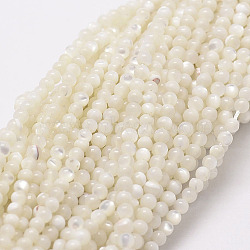Natural White Shell Beads, Mother of Pearl Shell Beads Strands, Round, 2mm, Hole: 0.5mm, about 170~175pcs/strand, 39cm(X-G-N0190-11-2mm)