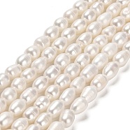 Natural Cultured Freshwater Pearl Beads Strands, Rice, Grade A, PapayaWhip, 6~7x5~5.5mm, Hole: 0.7mm, about 52pcs/strand, 13.78 inch(35cm)(PEAR-E016-132)