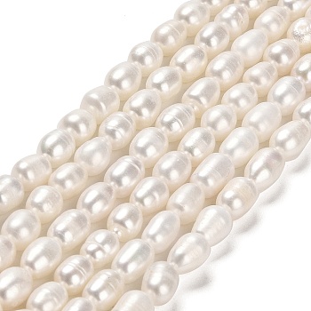 Natural Cultured Freshwater Pearl Beads Strands, Rice, Grade A, PapayaWhip, 6~7x5~5.5mm, Hole: 0.7mm, about 52pcs/strand, 13.78 inch(35cm)