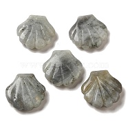 Natural Labradorite Carved Healing Shell Figurines, Reiki Energy Stone Display Decorations, 30~30.5x30x8~8.5mm(G-K353-03G)