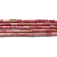 Natural Rhodonite Beads Strands, Column, 6x3mm, Hole: 0.8mm, about 59~60pcs/strand, 15.08~15.20''(38.3~38.6cm)(G-E612-B03-A)