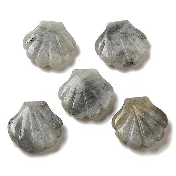 Natural Labradorite Carved Healing Shell Figurines, Reiki Energy Stone Display Decorations, 30~30.5x30x8~8.5mm