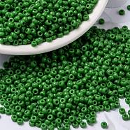 MIYUKI Round Rocailles Beads, Japanese Seed Beads, 8/0, (RR411) Opaque Green, 8/0, 3mm, Hole: 1mm, about 422~455pcs/10g(X-SEED-G008-RR0411)