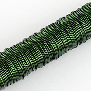 Round Iron Wire, Sea Green, 24 Gauge, 0.5mm, about 164.04 Feet(50m)/roll, 10 rolls/set(MW-S001-05)