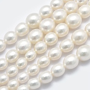 Natural Cultured Freshwater Pearl Beads Strands, Graduated, WhiteSmoke, 5~12x4~9mm, Hole: 0.8mm, about 62pcs/strand, 15.7 inch(PEAR-K003-21C)
