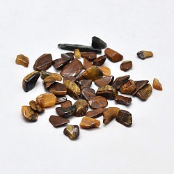 Natural Tiger Eye Chip Beads, No Hole/Undrilled, 2~8x2~4mm, about 340pcs/20g(X-G-O103-19)