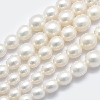 Natural Cultured Freshwater Pearl Beads Strands, Graduated, WhiteSmoke, 5~12x4~9mm, Hole: 0.8mm, about 62pcs/strand, 15.7 inch