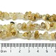 Natural Rutilated Quartz Beads Strands(G-Z034-E10-01)-5