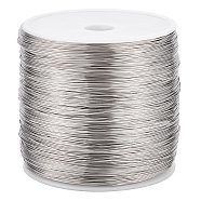 304 Stainless Steel Wire, Round, Stainless Steel Color, 26 Gauge, 0.4mm, about 820.21 Feet(250m)/Roll(STAS-WH0016-47P-04)