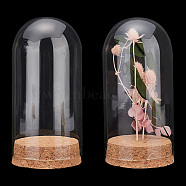 Elite Glass Dome Cover, Decorative Display Case, Cloche Bell Jar Terrarium with Cork Base, Arch, Clear, 65x133mm(AJEW-PH0004-19B)