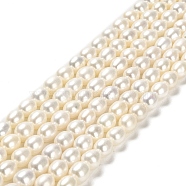 Natural Cultured Freshwater Pearl Beads Strands, Rice, Grade 6A+, Floral White, 6.5~7.5x6~7mm, Hole: 0.6mm, about 50pcs/strand, 14.76''(37.5cm)(PEAR-E016-167)