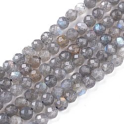 Natural Labradorite Beads Strands, Round, Faceted, 4mm, Hole: 0.7mm, about 90~100pcs/strand, 15.35 inch(39cm)(X-G-R475-025C)