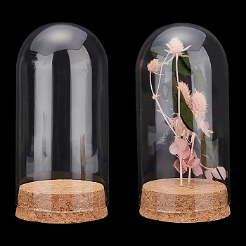 Elite Glass Dome Cover, Decorative Display Case, Cloche Bell Jar Terrarium with Cork Base, Arch, Clear, 65x133mm