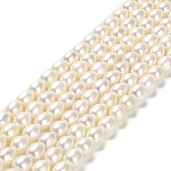 Natural Cultured Freshwater Pearl Beads Strands, Rice, Grade 6A+, Floral White, 6.5~7.5x6~7mm, Hole: 0.6mm, about 50pcs/strand, 14.76''(37.5cm)