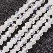 Natural Rainbow Moonstone Bead Strand, Round, Faceted, 3mm, Hole: 0.8mm, about 127pcs/strand, 15.7 inch(40cm)(G-G680-53)