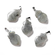 Natural Labradorite Pendants, with Platinum Tone Brass Findings, Leaf, 29~31x16~17x3~6mm, Hole: 2x6mm(G-F714-01C)