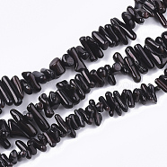Sea Bamboo Coral(Imitation Coral) Beads Strands, Dyed, Chip, Black, 6~18x2~10x1.5~6mm, Hole: 0.5~0.8mm, about 135~155pcs/strand, 15.7 inch(CORA-S023-35B)
