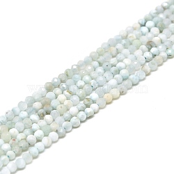 Natural Larimar Beads Strands, Round, Faceted, 2.5mm, Hole: 0.5mm, about 175pcs/strand, 15.35 inch(39cm)(G-A187-02A)