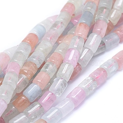 Natural Morganite Beads Strands, Column, 10~11x8mm, Hole: 0.8mm, about 40pcs/strand, 15.94 inches(40.5cm)(G-D0010-13B)