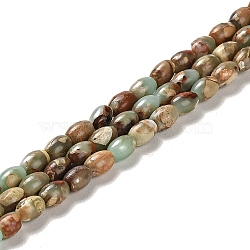 Natural Aqua Terra Jasper  Beads Strands, Rice, 6x4~4.5mm, Hole: 0.9mm, about 67pcs/strand, 15.94 Inch(40.5cm)(G-F765-I01-01)