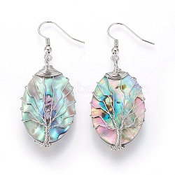 Abalone Shell/Paua Shell Dangle Earrings, with Brass Earring Hooks, Oval with Tree, Platinum, 55.5~57.5mm, Pin: 0.6mm(EJEW-L235-02P)