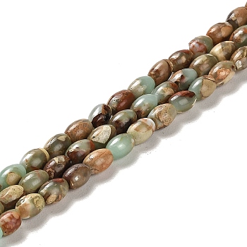 Natural Aqua Terra Jasper  Beads Strands, Rice, 6x4~4.5mm, Hole: 0.9mm, about 67pcs/strand, 15.94 Inch(40.5cm)