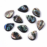 Natural Abalone Shell/Paua Shell Beads, Carved, Leaf, Colorful, 12.5x8.5x3.5mm, Hole: 1mm(SSHEL-T014-08)