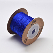Eco-Friendly Dyed Nylon Threads, String Threads Cords, Blue, 0.4mm, about 164.04 yards(150m)/roll(OCOR-L002-71-503)