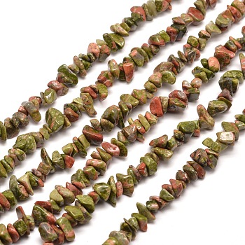 Natural Unakite Chip Bead Strands, 5~8x5~8mm, Hole: 1mm, about 31.5 inch