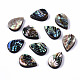 Natural Abalone Shell/Paua Shell Beads(SSHEL-T014-08)-1