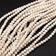 Natural Magnesite Beads Strands, Faceted, Round, Floral White, 10mm, Hole: 1mm, about 36pcs/strnad, 15.74 inch(TURQ-L017-10mm-02A)