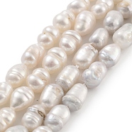 Natural Cultured Freshwater Pearl Beads Strands, Rice, Grade AB, Antique White, 5~6mm, Hole: 0.7mm, about 26pcs/strand, 7.09''(18cm)(PEAR-P062-06A-1)