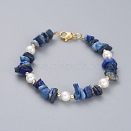 Natural Lapis Lazuli Chip Beaded Bracelets, with Shell Pearl Round Beads, Brass Beads and 304 Stainless Steel Lobster Claw Clasps, 7-1/4 inch(18.5cm)(BJEW-JB04933-04)