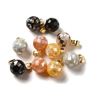 Natural Mixed Shell Dyed Round Charms, with Golden Plated Brass Snap on Bails, Mixed Color, 14x10mm, Hole: 4.5x4mm(SSHEL-H071-01G)