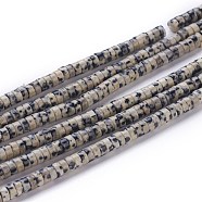 Natural Dalmatian Jasper Beads Strands, Heishi Beads, Flat Round/Disc, 4~4.5x2.5mm, Hole: 0.7mm, about 167pcs/strand, 15.43 inch(39.2cm)(G-H230-06)