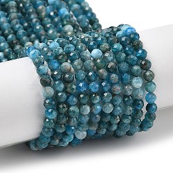 Natural Apatite Beads Strands, Faceted, Round, 3~3.5mm, Hole: 0.5mm, about 116pcs/strand, 15.51''(39.4cm)(G-G189-D16-02)