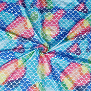 Polyester and Spandex Mermaid/Fish Scales Fabric, Colorful, 1500x0.2mm(DIY-WH0410-20)