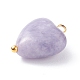 Natural Lepidolite/Purple Mica Stone Pendants(X-PALLOY-JF01413)-4