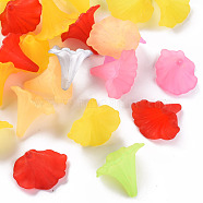 Transparent Acrylic Beads, Calla Lily, Frosted, Mixed Color, 40.5x33x35mm, Hole: 1.8mm, about 135pcs/500g(BSF796M)