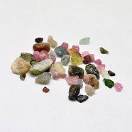 Tourmaline Chip Beads, No Hole/Undrilled, 2~8x2~4mm, about 340pcs/20g(X-G-O103-07)