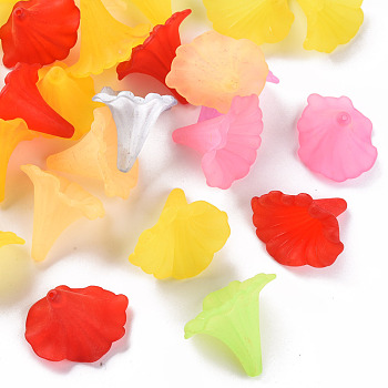 Transparent Acrylic Beads, Calla Lily, Frosted, Mixed Color, 40.5x33x35mm, Hole: 1.8mm, about 135pcs/500g