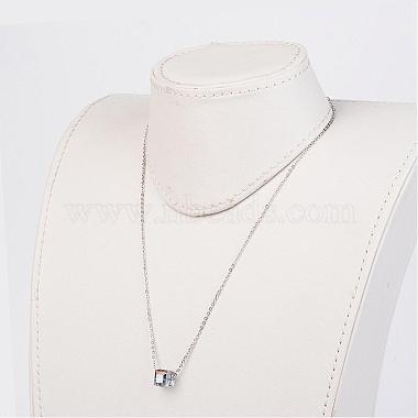 316 Surgical Stainless Steel Pendant Necklaces(NJEW-JN01601)-2