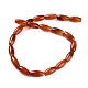 Natural Red Agate Beads Strands(G-NH0019-C01-05)-2